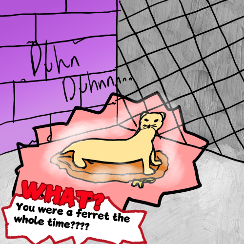 Who? Whatever! - Episode 12 - Ferrets - Those Bananas Always Explode, No Exception! - Special Thanks