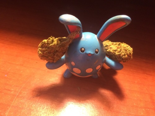 orphanalien:  Azumarill with some blue cheese adult photos