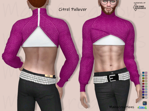 mahocreations:  Pullover Citrel  new meshbasegameteen to eldermale20 colorsto find in pulloverdisall