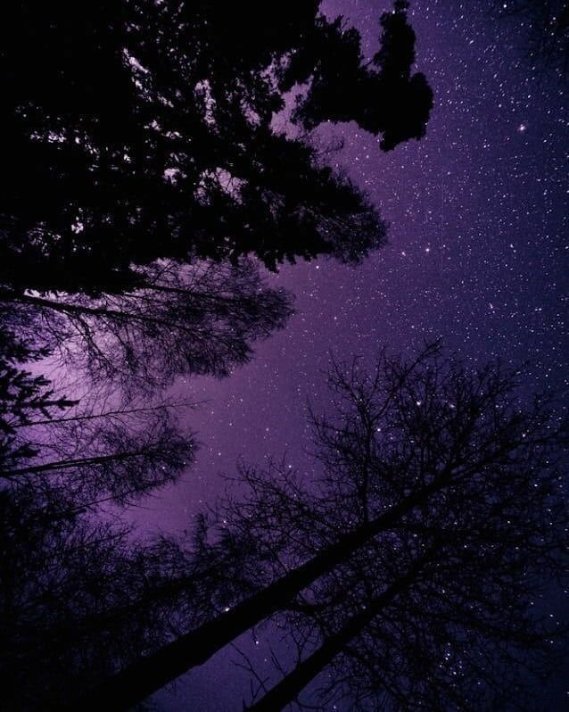 ourlittlesecretlust:  omnipotentdarkness: 🌙