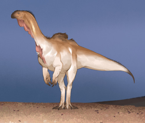 4: Massospondylus! Isn't A Fat Storage Here But A Bit Of Speculative Skin For Display Cuz Why Not Also