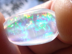 opal-porn:  Mexican Opal 