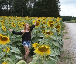 wildflowerinw0nderland:  I’ve never been so happy to be in a field of sunflowers 
