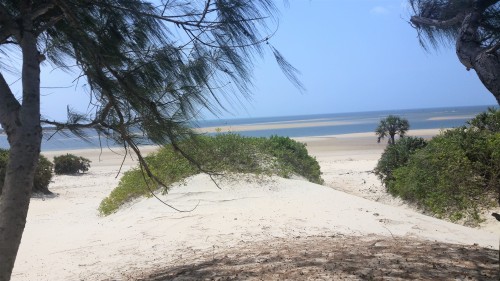  Africa.  Kenya. Lamu Island. 2019. 