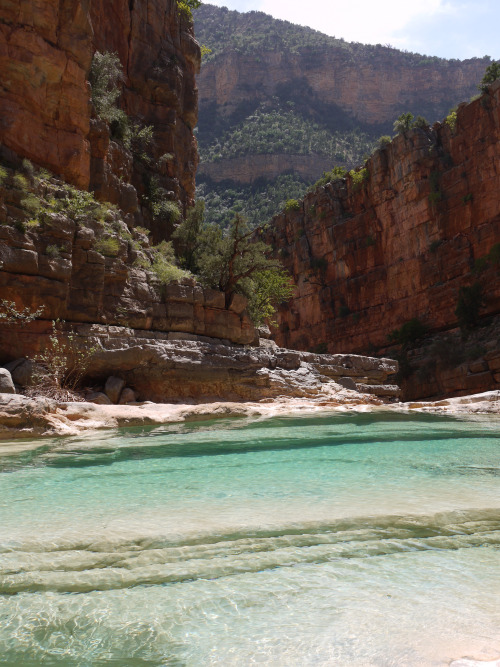 Paradise Valley in Morocco (by Heather Cowper).