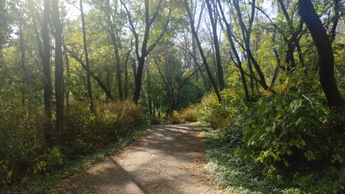 Some Photos Of My Nearby Park, On A Nice October Day.