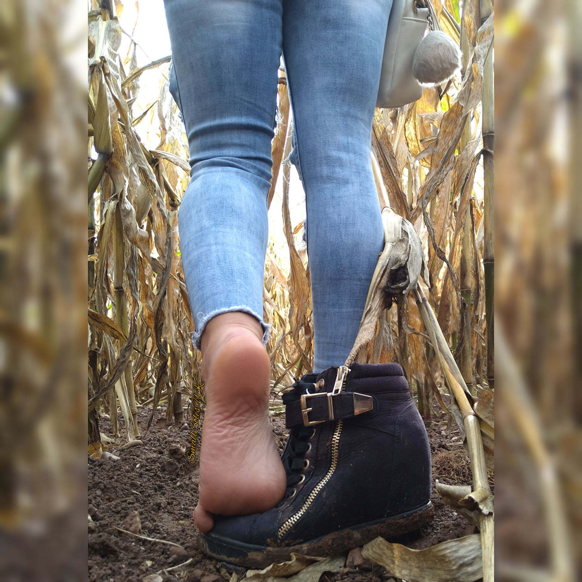 hotsolesharlot:Visited a pumpkin patch recently, guessing you&rsquo;ve seen the