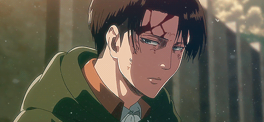 Happy Birthday, Levi Ackerman! [Dec. 25]