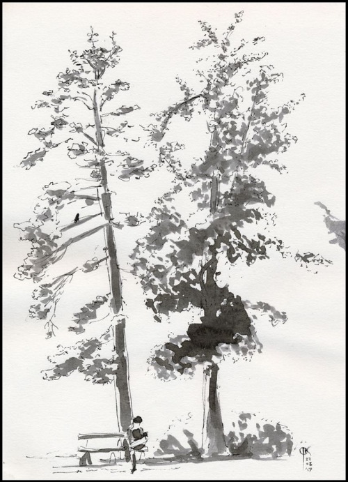 2017 Tree Sketch