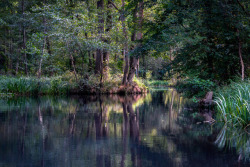 visualizedmemories: “Spreewald / Spree forest III” Another capture from the Spreewald biosphere. 
