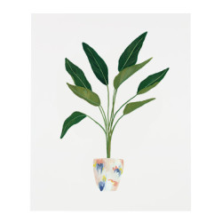 romancenoire:  all the plants you want by Patricia Shen http://ourheiday.com/