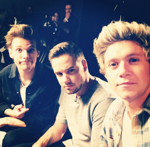 lessgemmastyles:  Thanks Niall for selfies