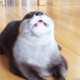 jypnior: otter youngjae