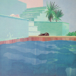 popularsizes:Pool and Steps, Le Nid Du Due,