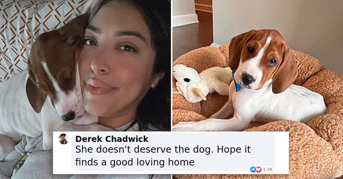 Woman Finds Her Dog Up For Adoption A Year After She Had Him Put Down