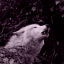 stark-ghost