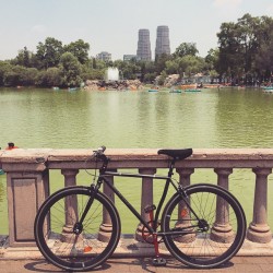 instabicycle:  Via @carlosdecimo: Esperando que vuelvas #mexico #mexicodf #mexicocity #chapultepec #lagodechapultepec #lago #lake #city #bike #bikeporn #bikes #bicycle #igersdf #paisajedf 