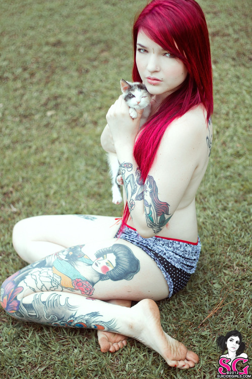 KittyMiau.  