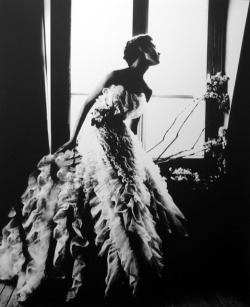 christinerod:  Lillian Bassman  Fantasy