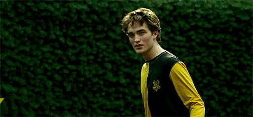 Remember A Boy Who Was Kind And Honest And Brave And True. Remember Cedric Diggory.