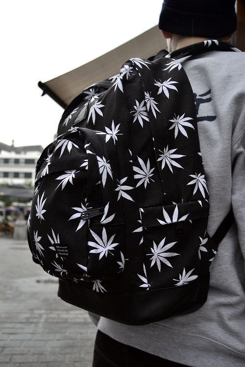 21st-century-pure: michaelkenway:  smok4ble:  $$  Huf.  Maple leaves