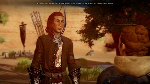 lesbiananders: Cianan Lavellan is an important bird.