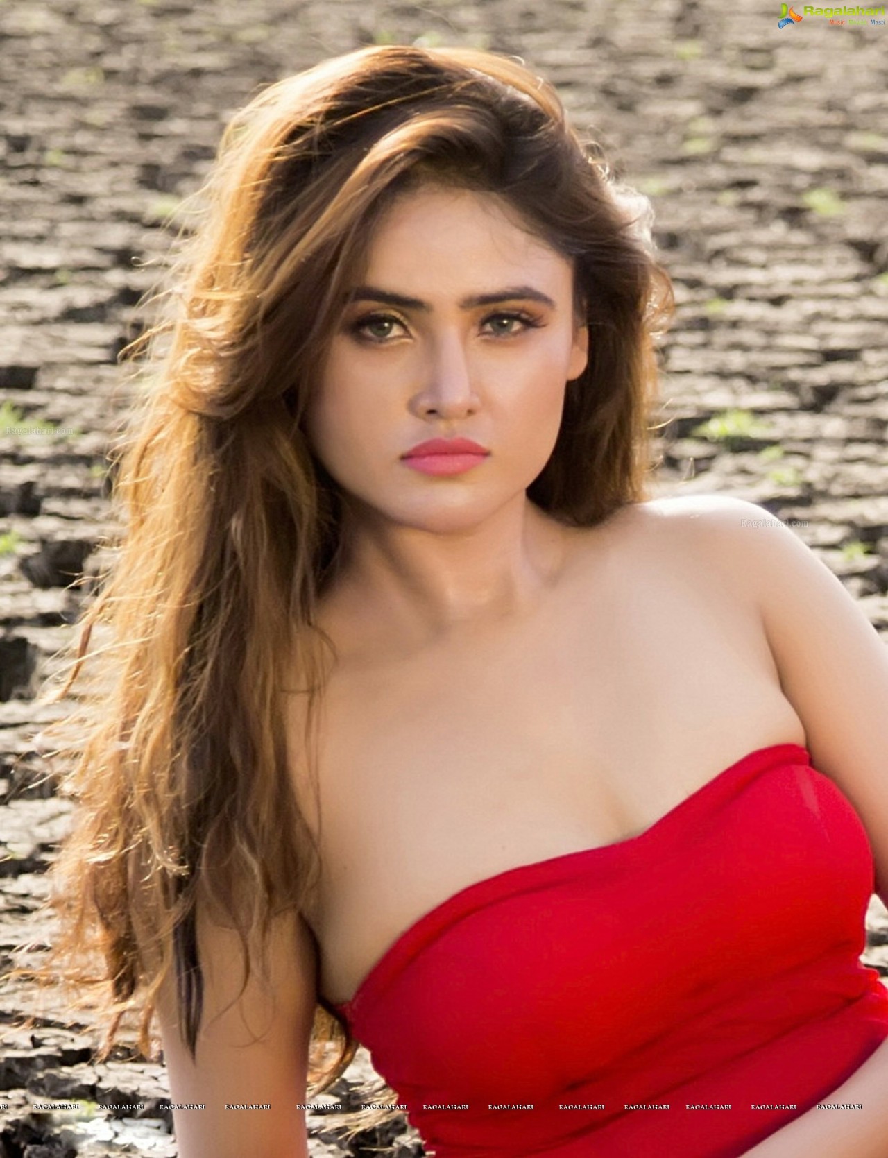 sexy-indian-actress:  Sony Charishta    Love this dress