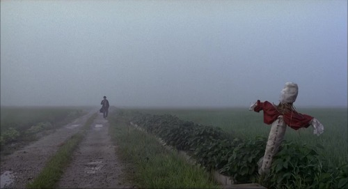 ozu-teapot:Memories of Murder | Bong Joon Ho | 2003