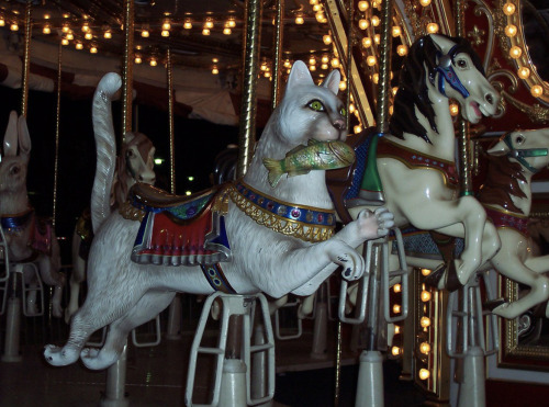 2005