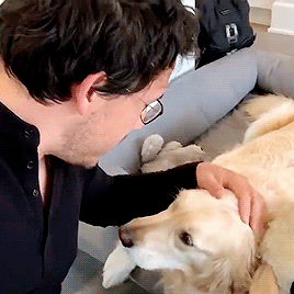markired:  local birthday girl loves her hooman