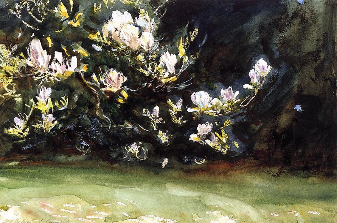 laclefdescoeurs:  Magnolias, John Singer Sargent