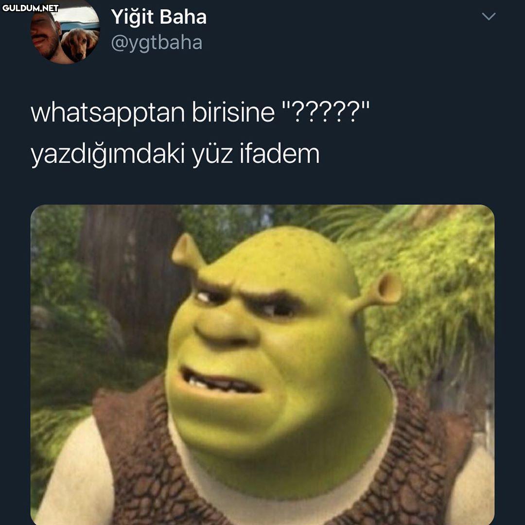 ne eksik ne fazla Yiğit...