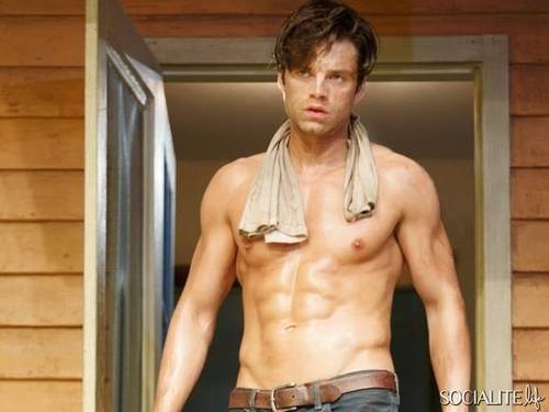 Porn Pics Because He’s Adorable, Sebastian Stan Thanks