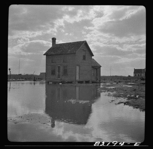 Waterman’s shanties in Dorchester County, Maryland, ca. 1941. Collections of the Library of Congress