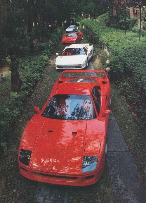 Ferrari F40 & Lamborghini Diablo & Lamborghini Countach & Porsche 959 Το όνειρο κάθε pet