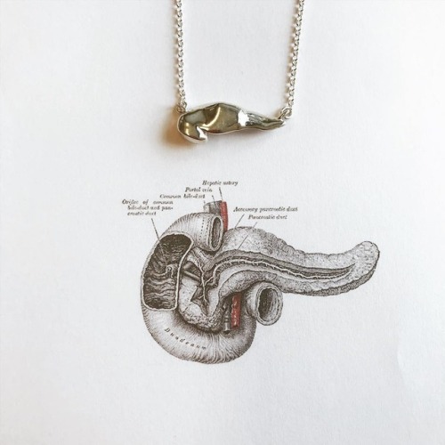 here is our latest model in the shop. The pancreas necklace. #sciencejewelry1824 https://ift.tt/2aDy