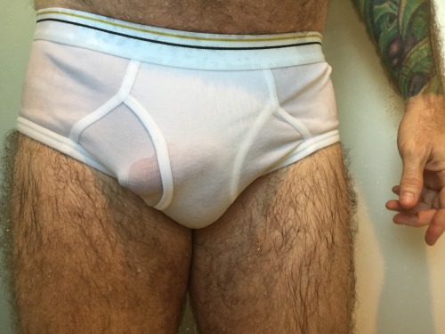 pupsunderwearpics:  Pup in His Wet Stafford Briefs 