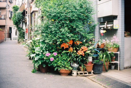 Plant planet @Kyojima Tokyo by ogino.taro