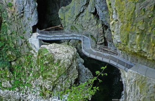 odditiesoflife:The Škocjan Caves - A Unique Natural PhenomenaAn ancient cave system considered one o