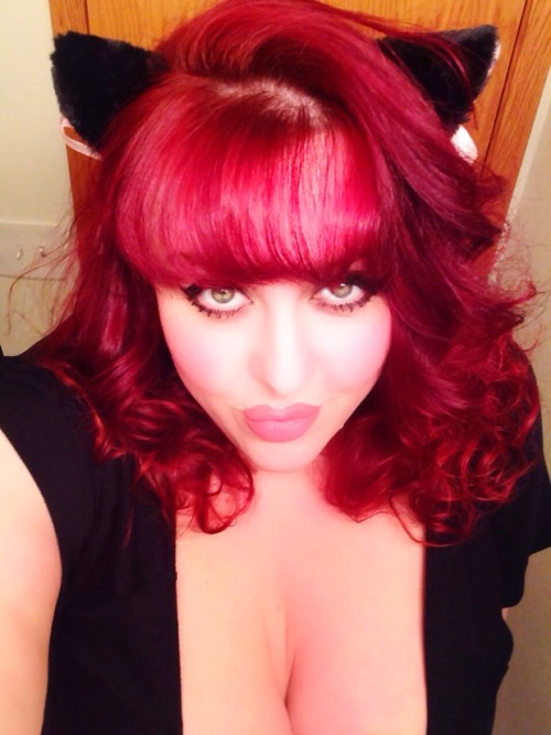 littlebunnysunshine:  Fun new kitten ears, better pictures to come!