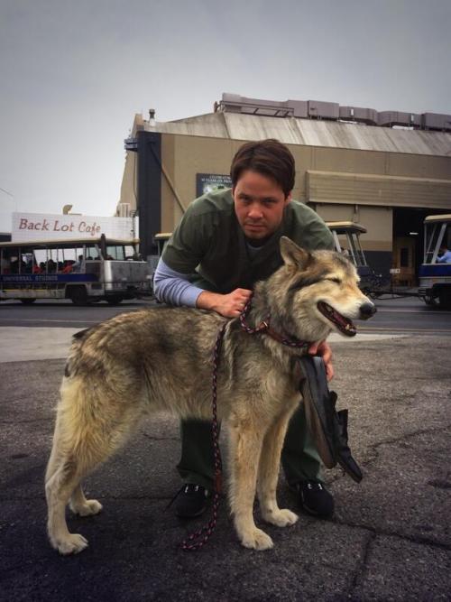 picklesandwine:  Ike Barinholtz + Animals (x)  Owley in a Towely (x)  Sea Dog (x)  Birdy in the Shirty (x)  And finally, puppy and dragons (x)