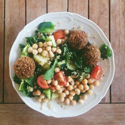 thefruitrunner1:  lilyskinned:  Falafels