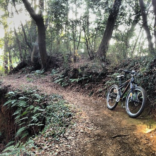 beefmtb: mizunyang on Instagram
