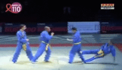 gutsanduppercuts:  The French national team demonstrate the Vietnamese martial art of Vovinam.