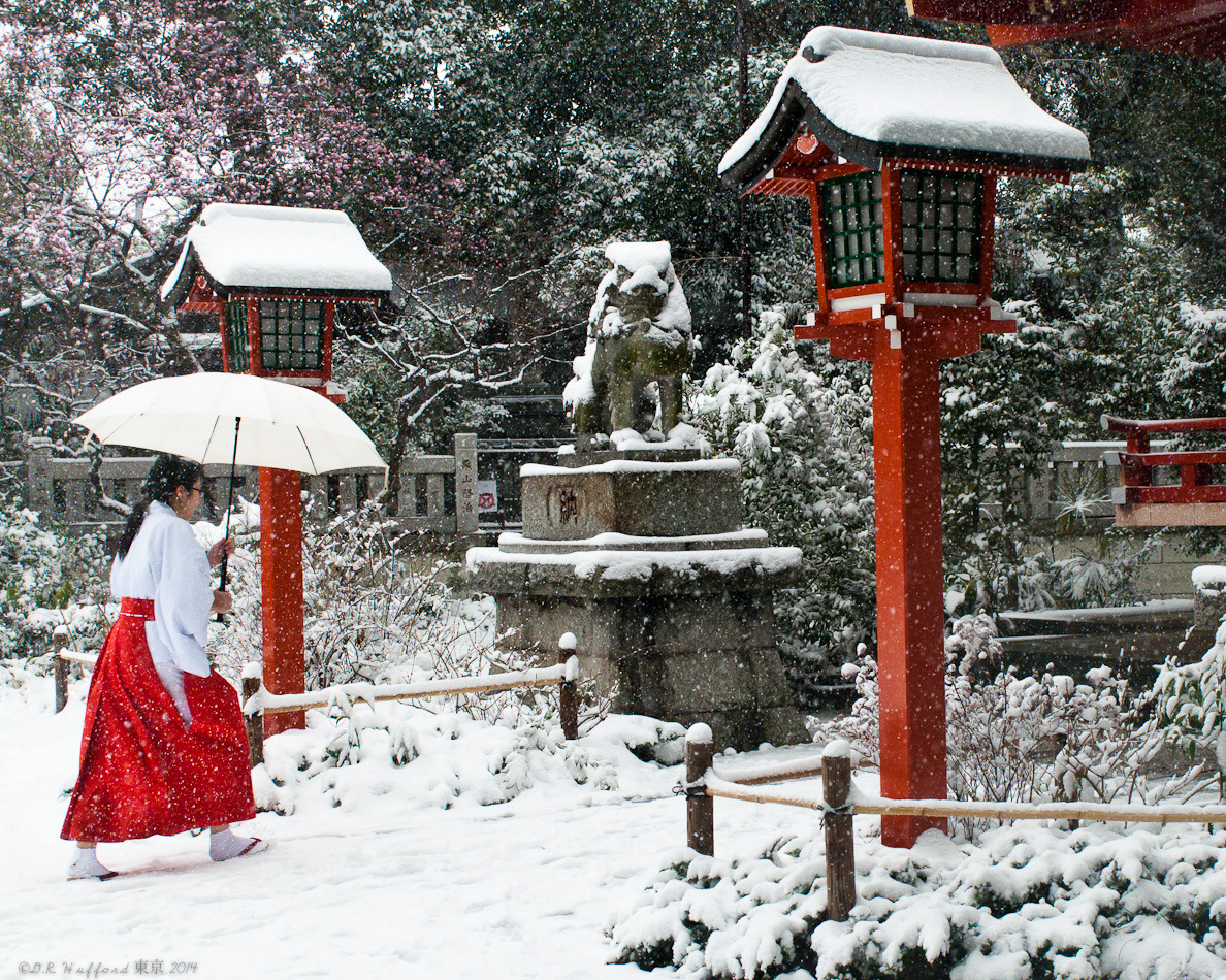 The Colors of Tokyo — Winter Day at the Shrine Jiyugaoka, Tokyo
