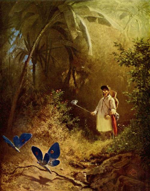 Carl Spitzweg - The Butterfly Hunter (1840)