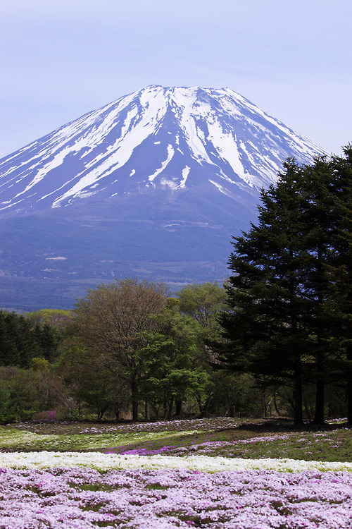 yudoku:  Mt. Fuji by * Yumi *  