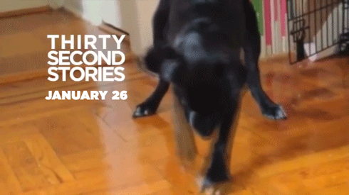 weinventyou:Coming tomorrow! ThirtySecondStories.com. So excited to finally share this! I take short