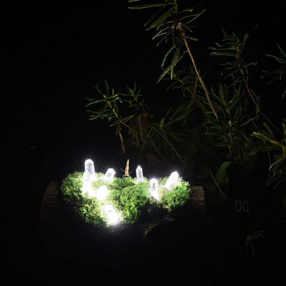 sosuperawesome: Never before documented, discovered in wild northern forests these