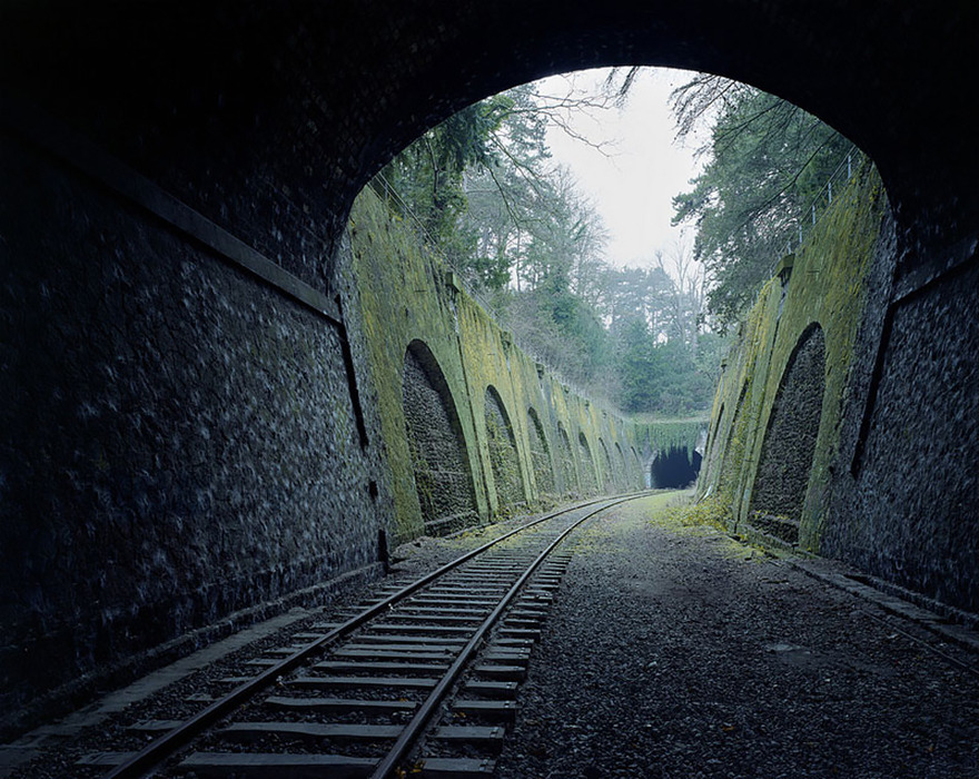 21 Stunning Photographs Of Nature Battling Civilization